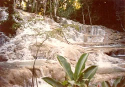 YS Falls